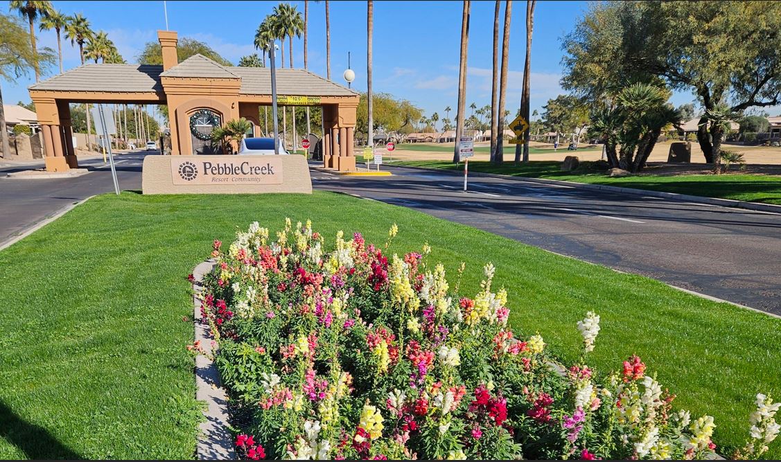 AAA Landscape project