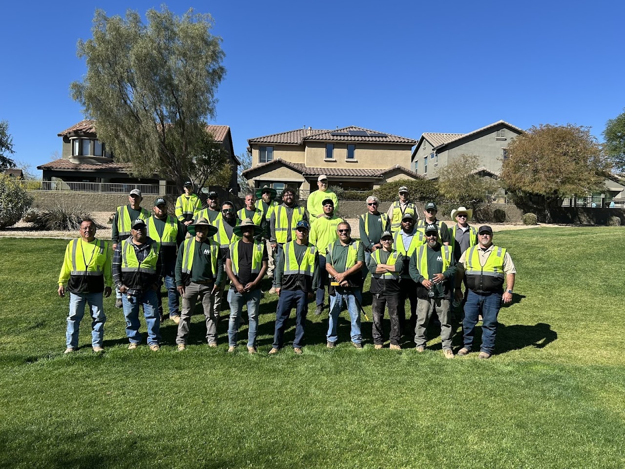 AAA Landscape project